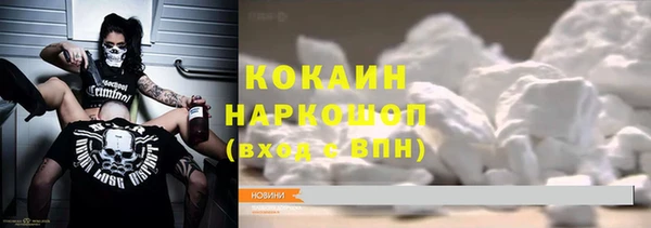 шишки Баксан