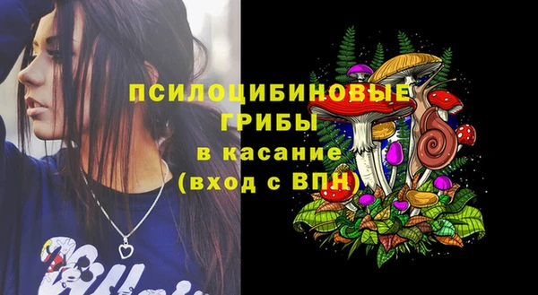 шишки Баксан