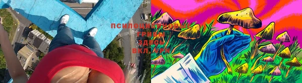 прущая мука Белокуриха